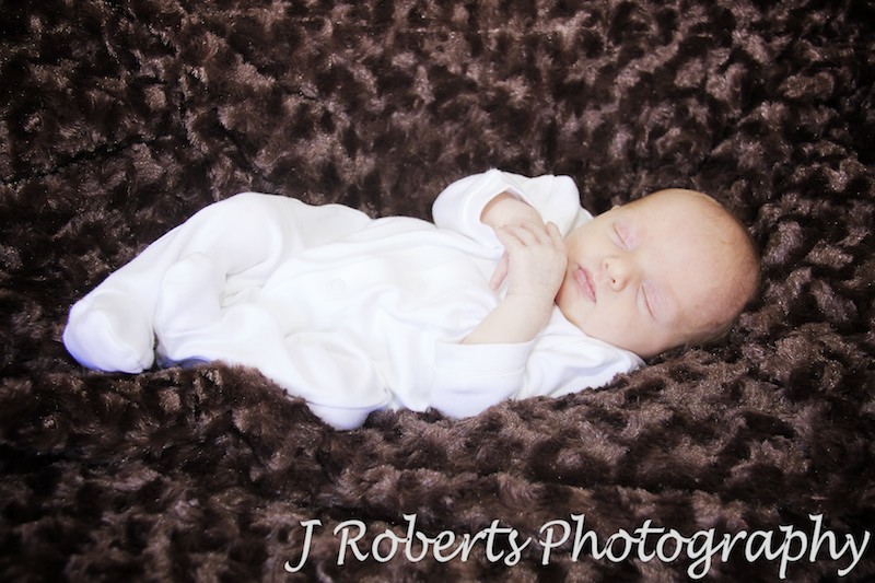 Newborn baby sleeping in cuddly rug - newborn baby portrait photography sydney
